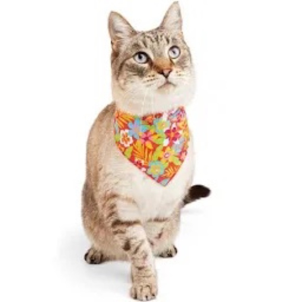 NWT YOULY Cat Tropic Floral Bandana, Small/Medium
